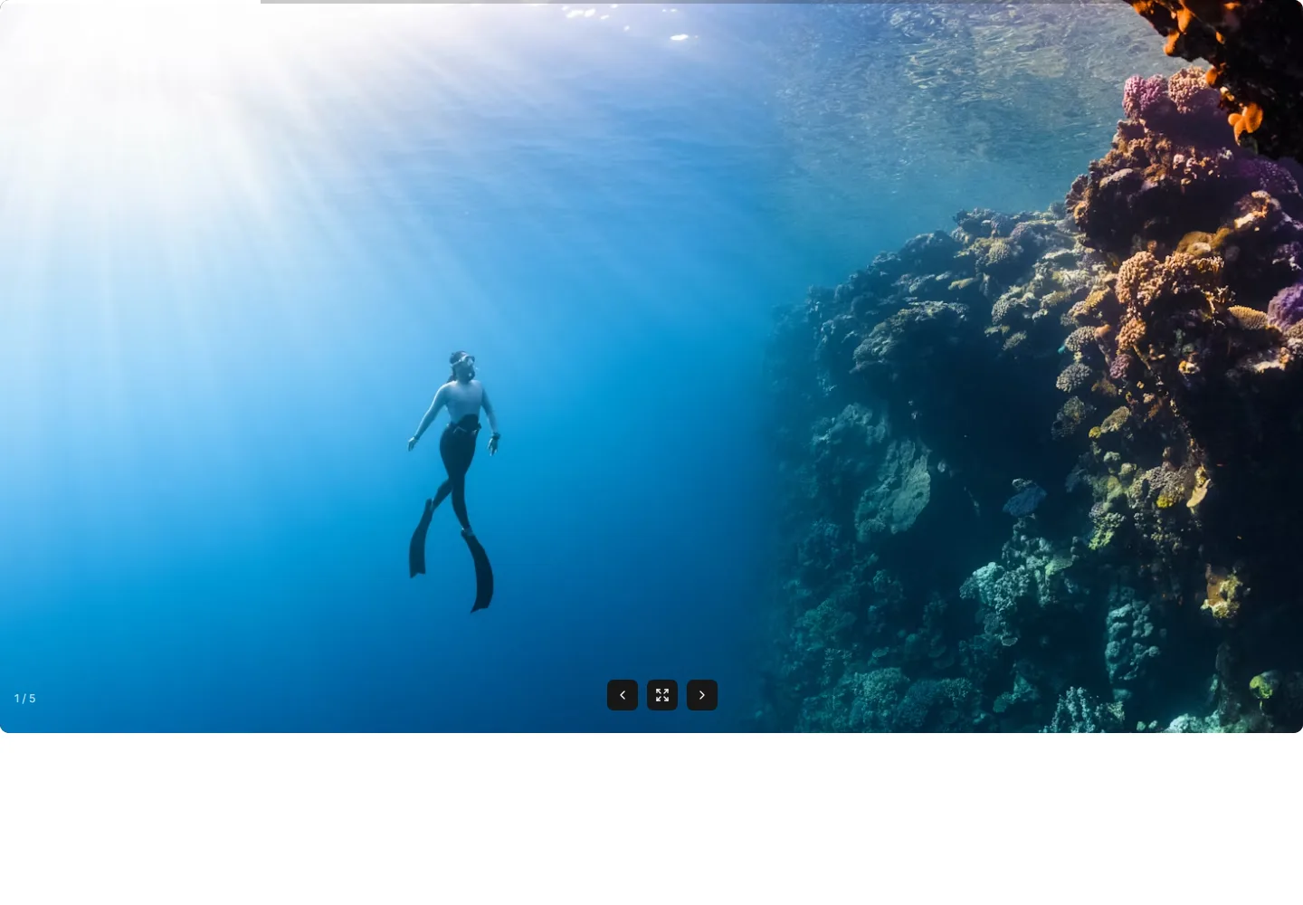 Static preview of marketing-gallery-fullscreen-gallery